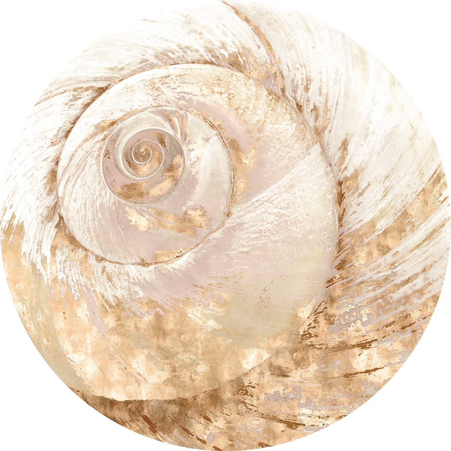 Nautilus V — nature and landscape fine art print in neutral tones at Laurie Yapp Home