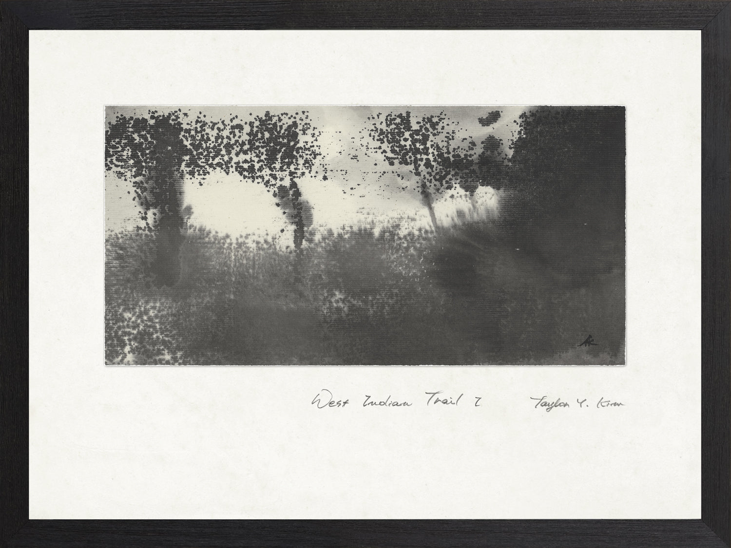 West Indian Trail I framed art print