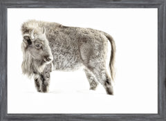 55,88 × 40,64 cm – Cadre Gris