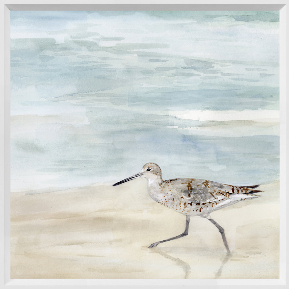 Speckled Willet II wall art featuring a shorebird walking on the beach with a soft blue background