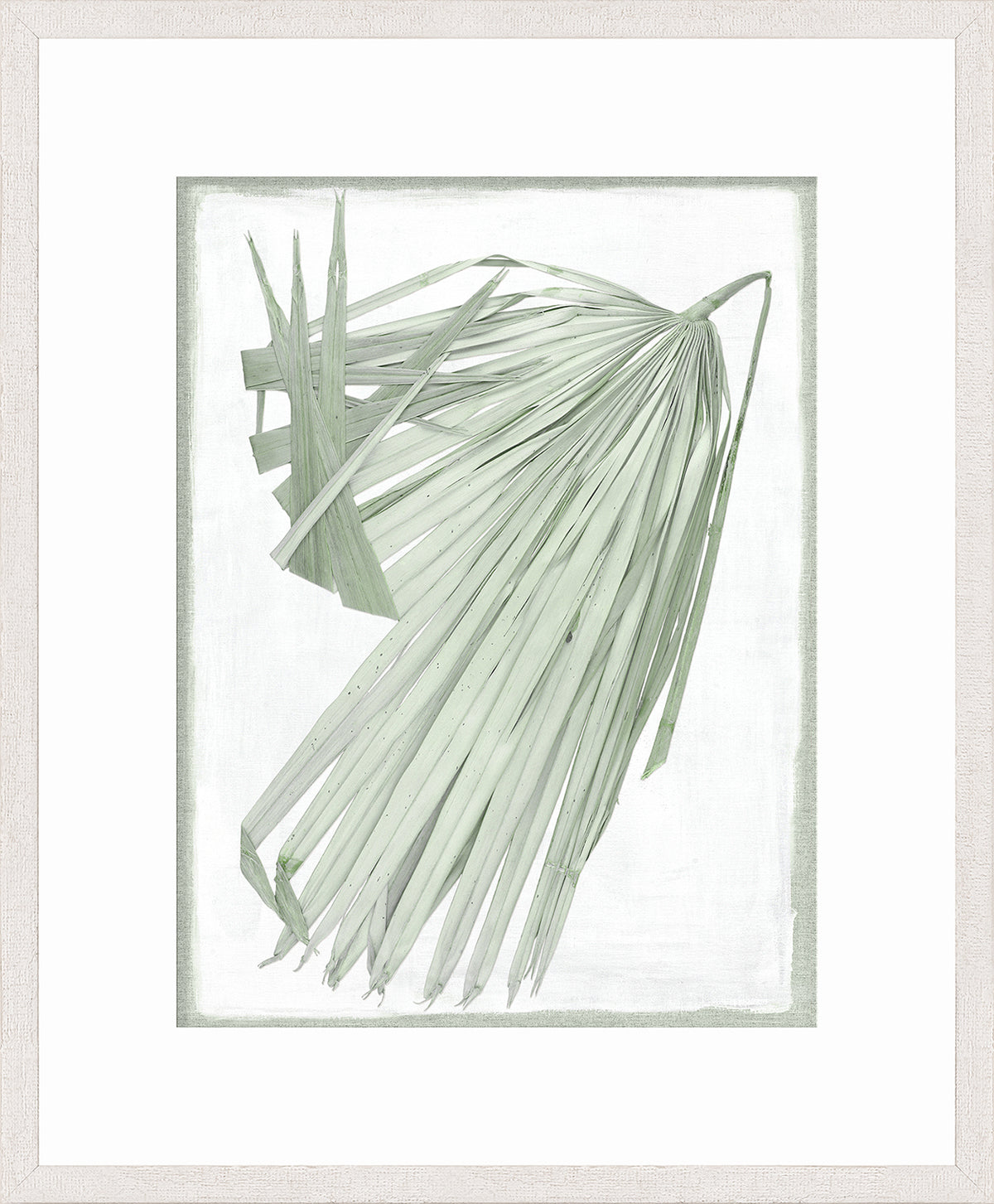 Palm Pressings III – Biscay wall art featuring a light green palm leaf on a white background.