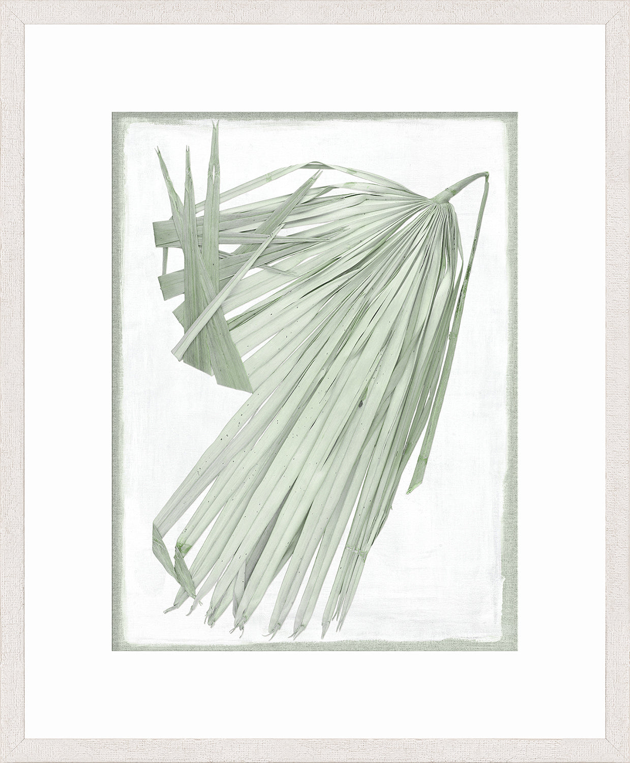 Palm Pressings III – Biscay wall art featuring a light green palm leaf on a white background.