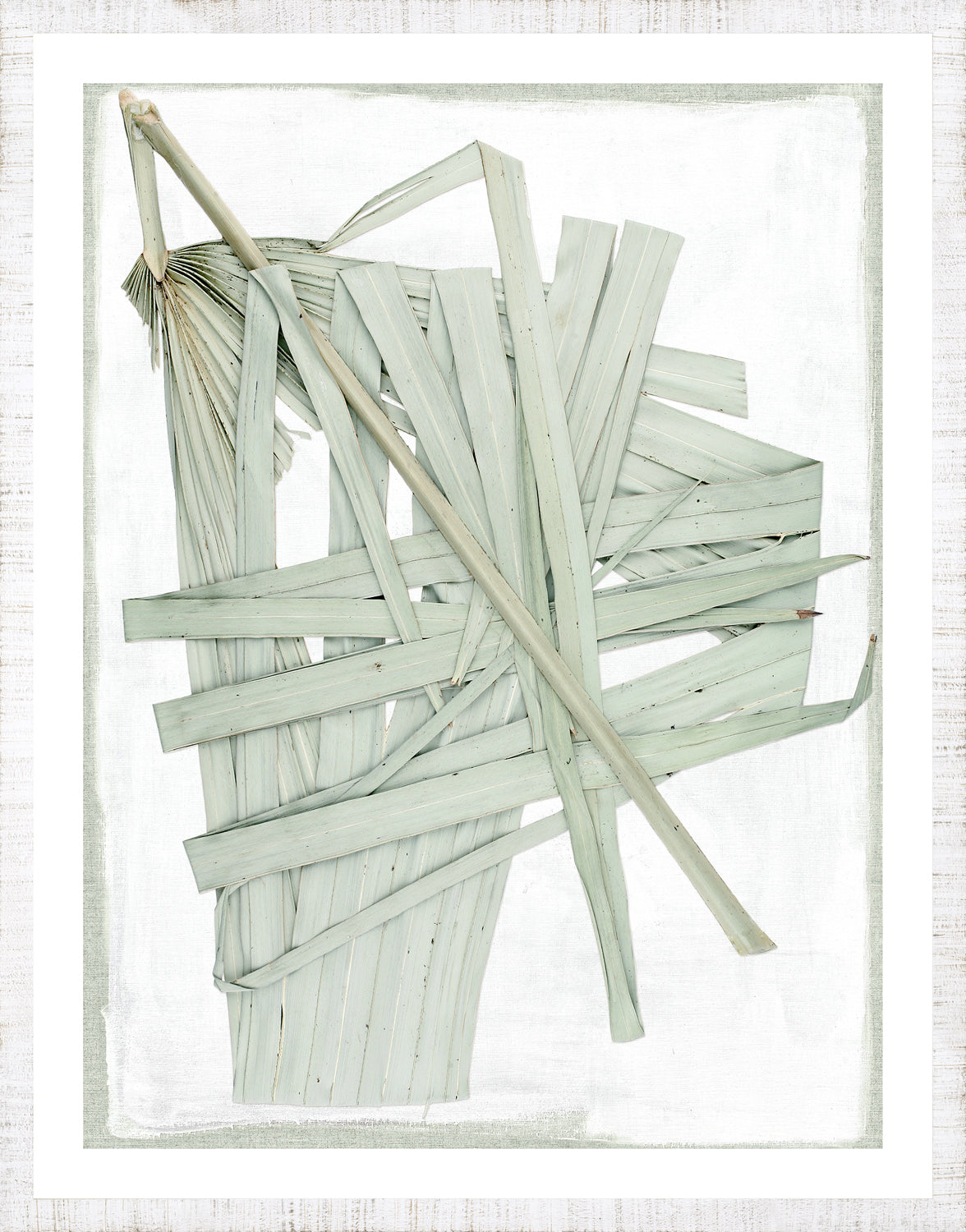 Palm Pressings Ii framed art print