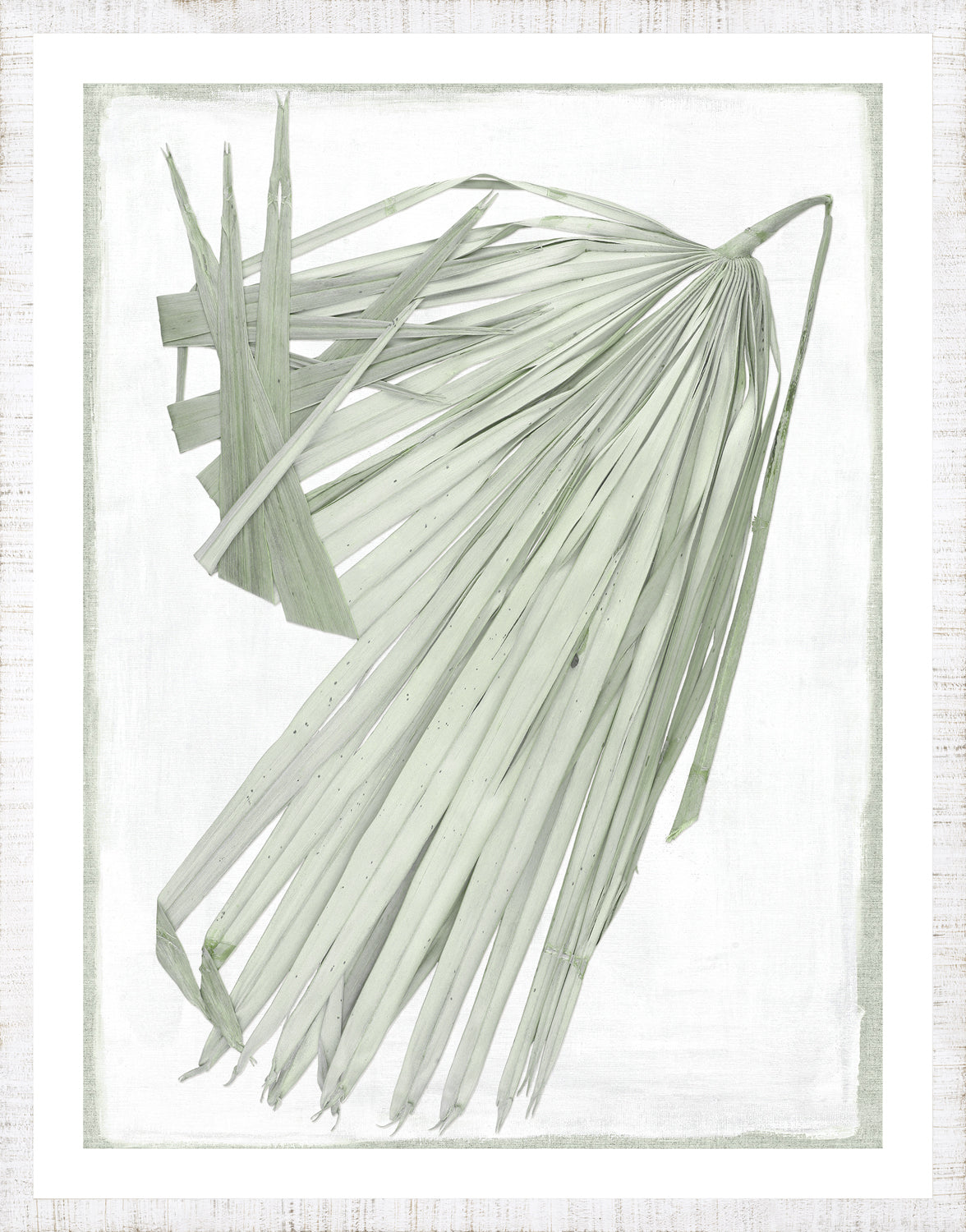 Palm Pressings Iii framed art print