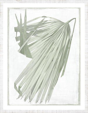 Palm Pressings Iii framed art print