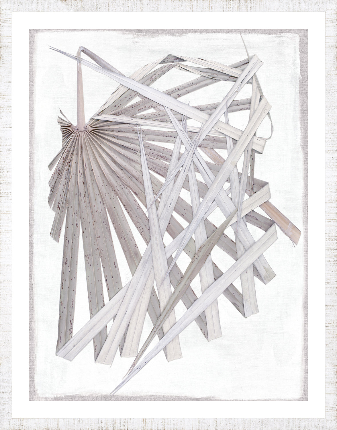 Palm Pressings Ii Lilac Grey framed art print