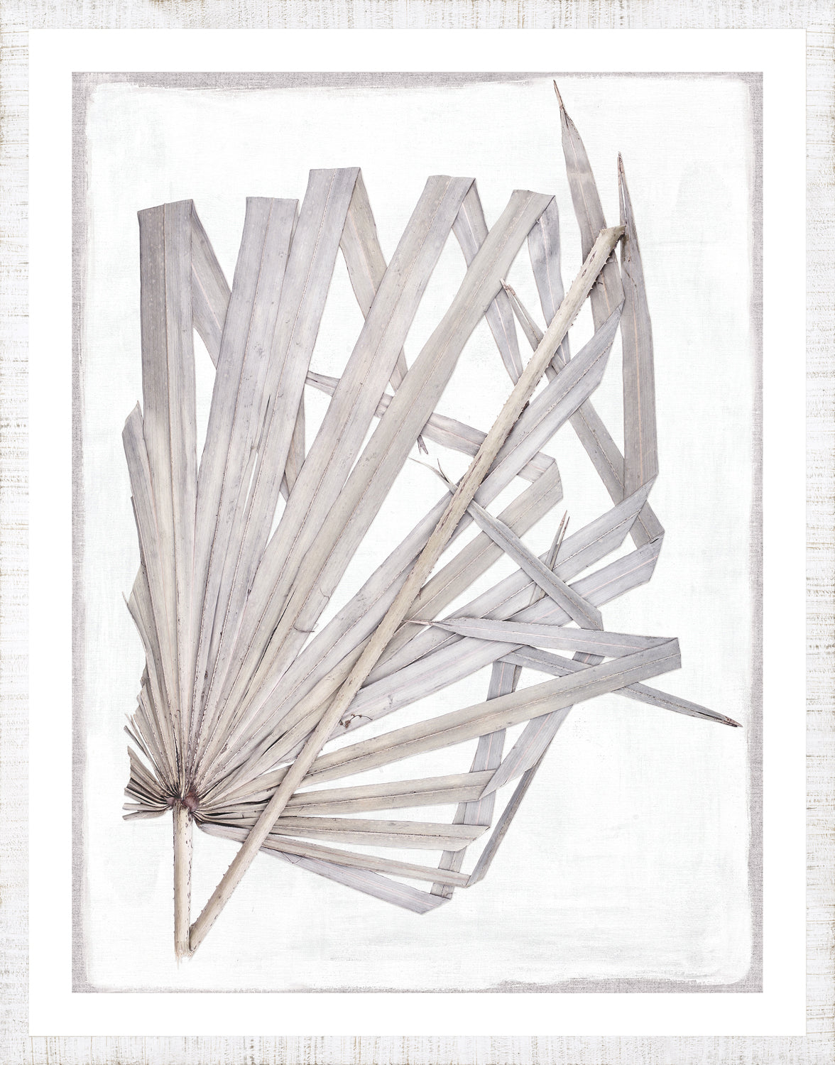 Palm Pressings Iii Lilac Grey framed art print