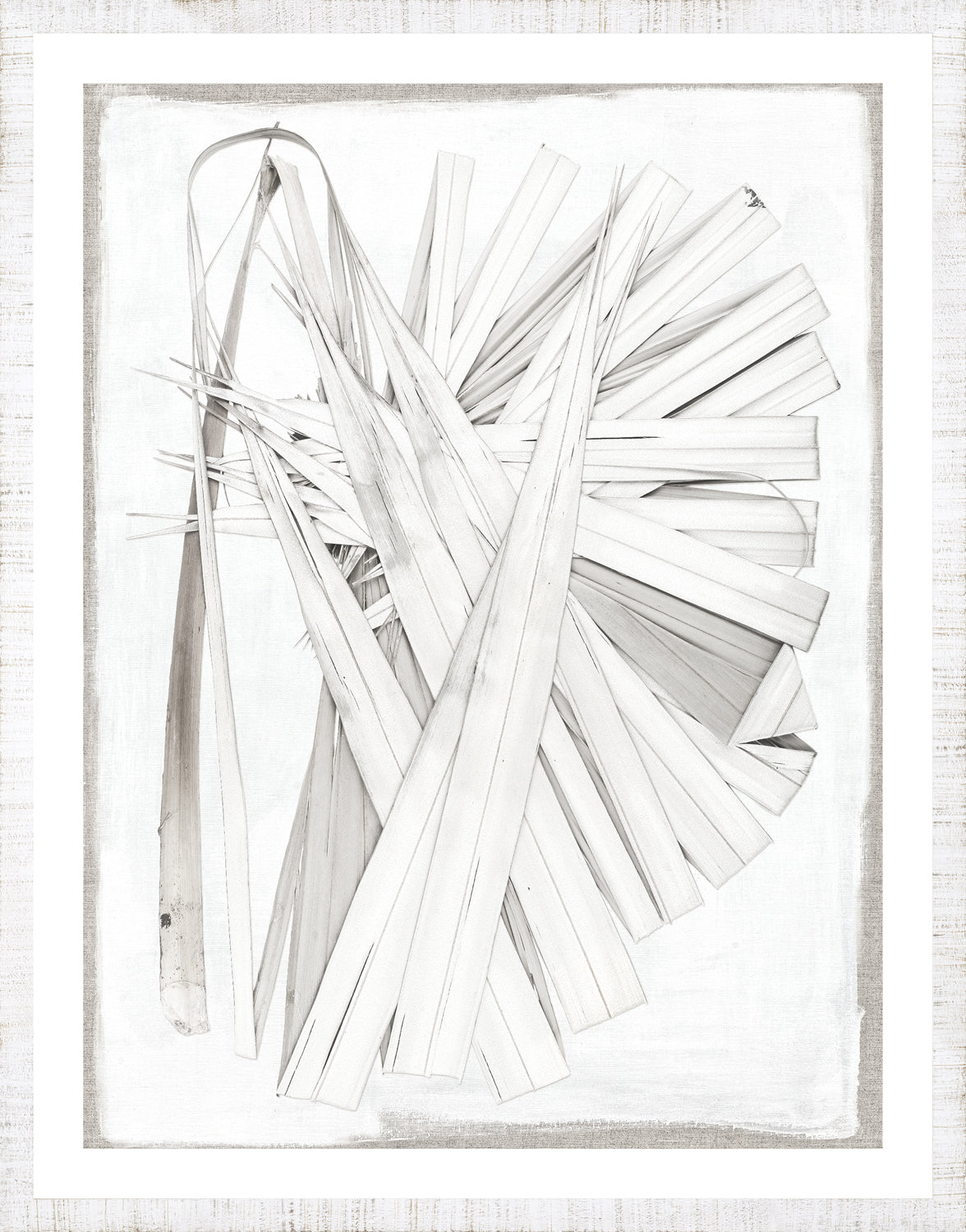 Palm Pressings I Oyster framed art print