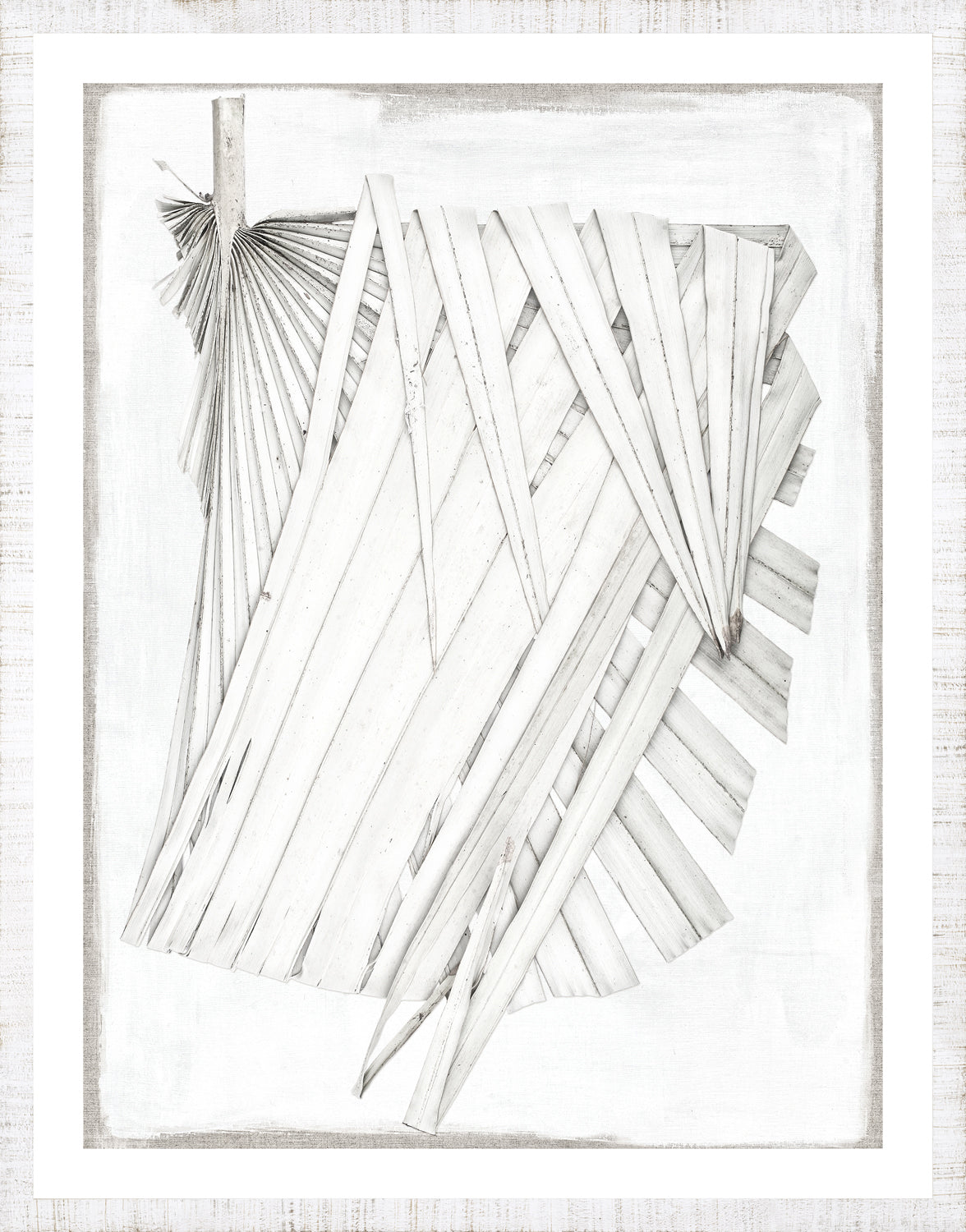 Palm Pressings I Oyster 2 framed art print