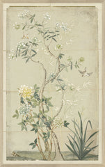 43,18 × 68,58 cm – Encadré sous verre, teinte jaune