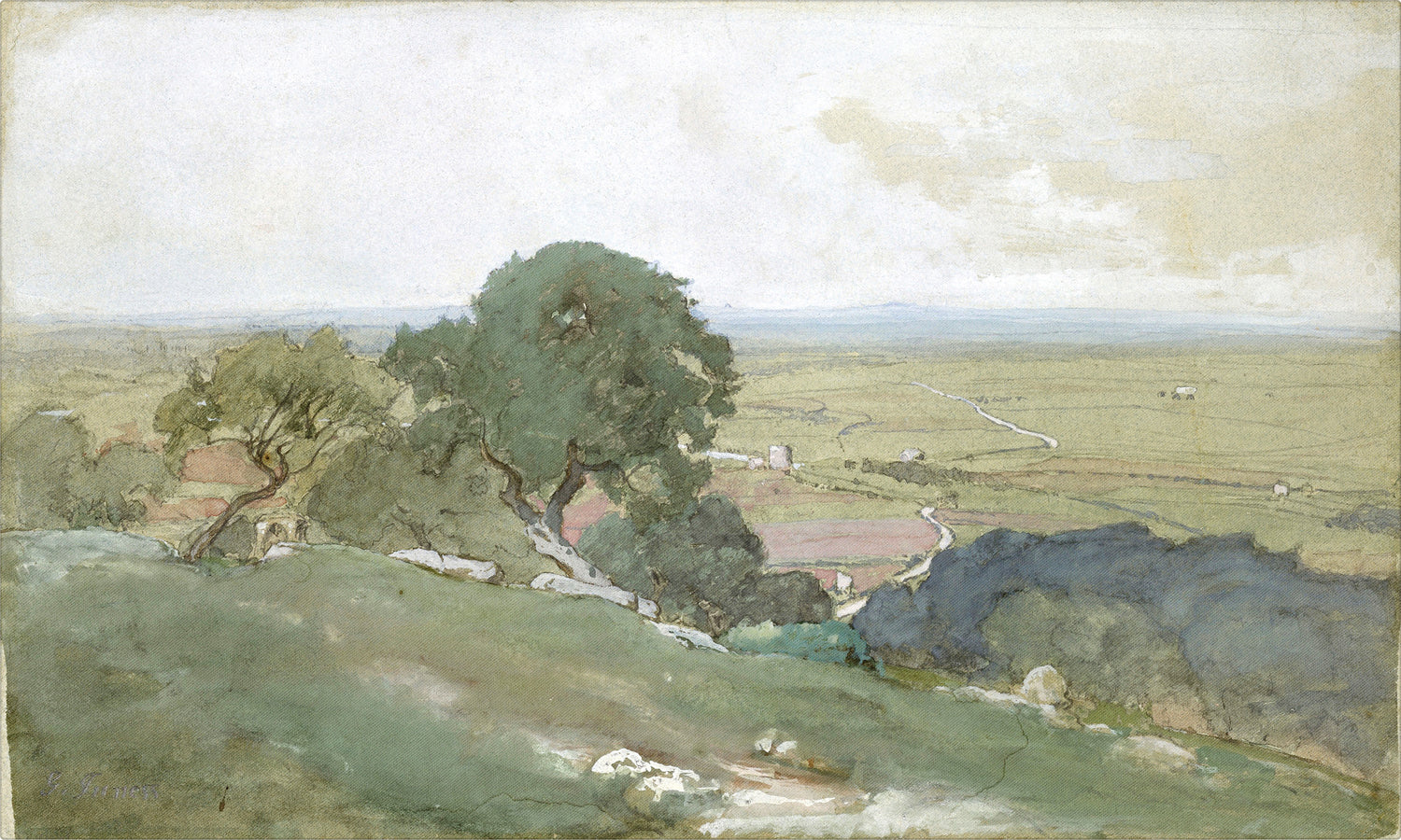 Olive Trees at Tivoli C. 1873 — nature and landscape fine art print shown from another angle