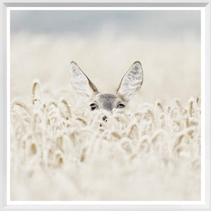 Peekaboo Deer — nature and landscape fine art print in neutral tones at Laurie Yapp Home