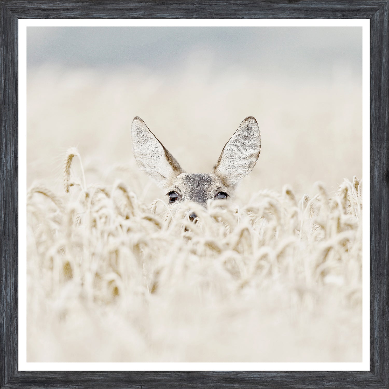 Peekaboo Deer — nature and landscape fine art print shown from another angle