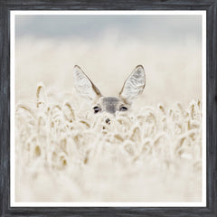 22 × 22 po – Cadre Gris