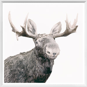 Happy Moose — nature and landscape fine art print in neutral tones at Laurie Yapp Home