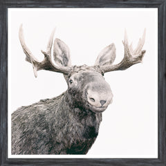 22 × 22 po – Cadre Gris