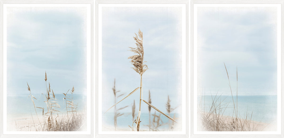 Dune Grass wall art featuring tall grass against a soft blue sky and ocean backdrop.