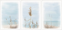 31 × 64 po – Triptyque