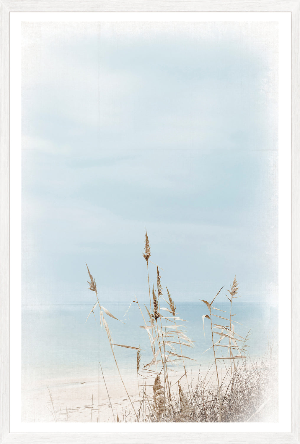 Dune Grass — nature and landscape fine art print in neutral tones at Laurie Yapp Home