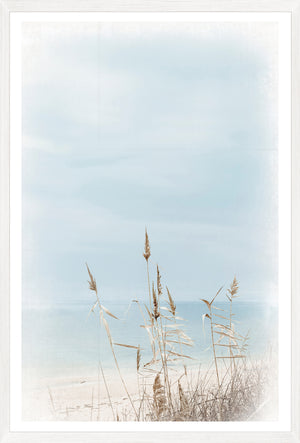 Dune Grass — nature and landscape fine art print in neutral tones at Laurie Yapp Home