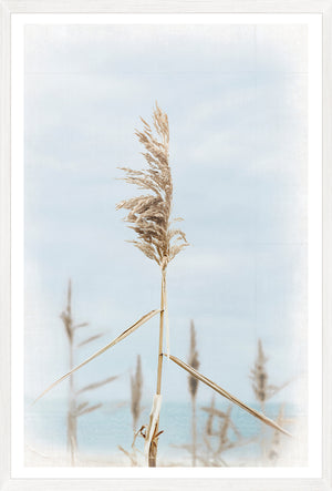 Dune Grass — nature and landscape fine art print shown from another angle