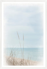 21 × 31 po – Droite