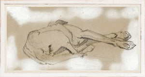 Study Of A Sleeping Dog Ii framed art print