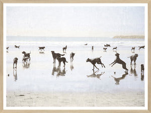 Dogs Day At The Beach framed art print