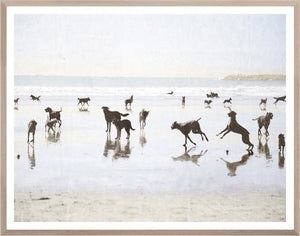 Dogs Day At The Beach framed art print