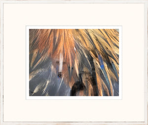 The Hidden Series VII wall art featuring intricate feather patterns in warm tones