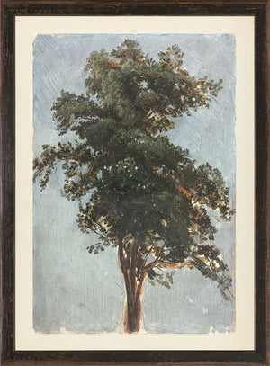 Collection Vintage Tree Study 1855 framed art print