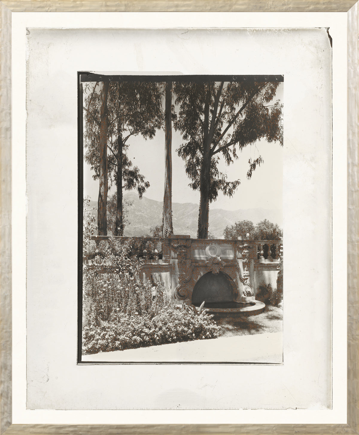 Garden Lantern Slides IV C. 1930 by Celadon, black and white photograph of a garden with trees.