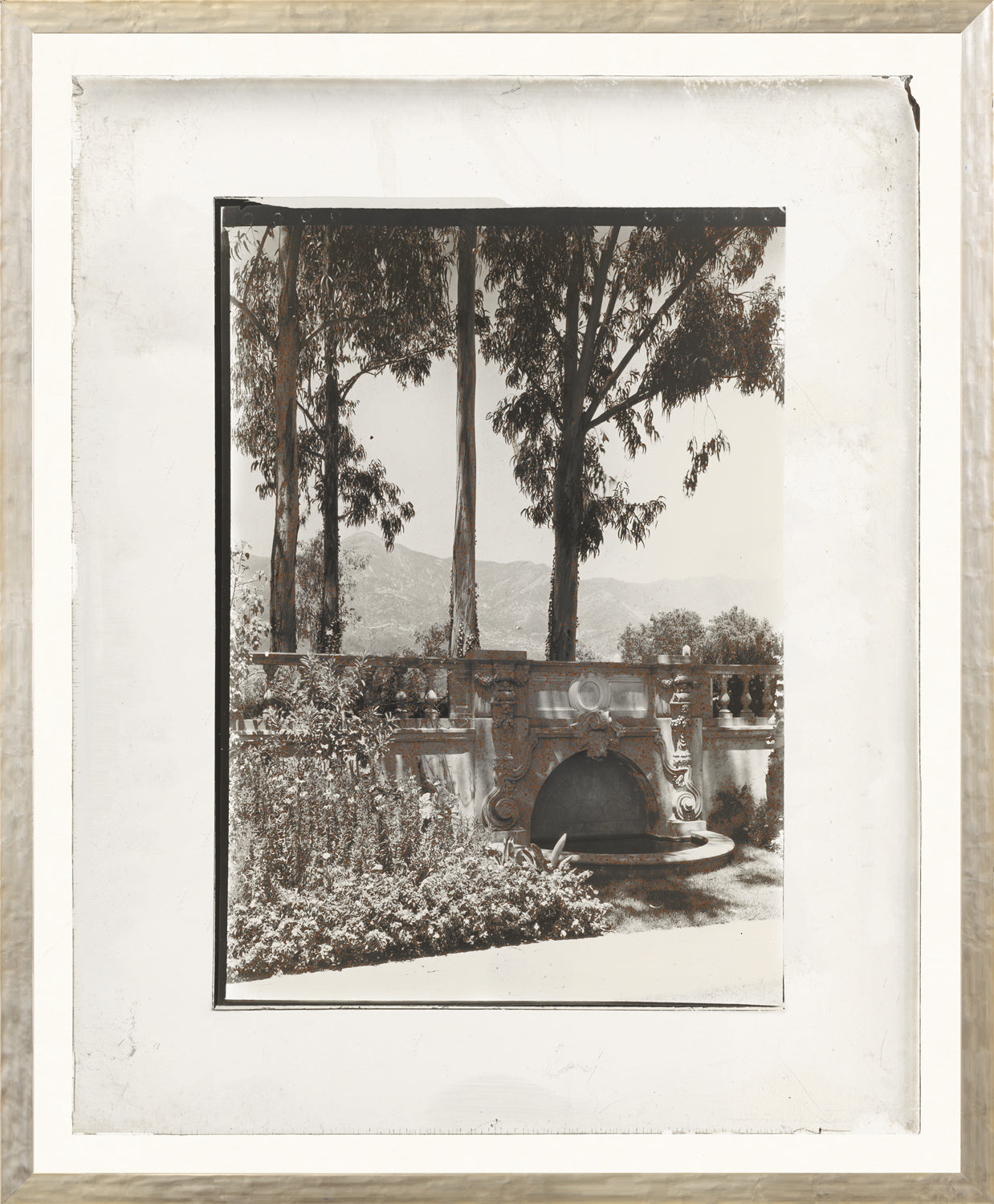 Garden Lantern Slides IV C. 1930 by Celadon, black and white photograph of a garden with trees.