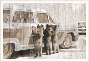 Bears In Yellowstone C 1950 framed art print