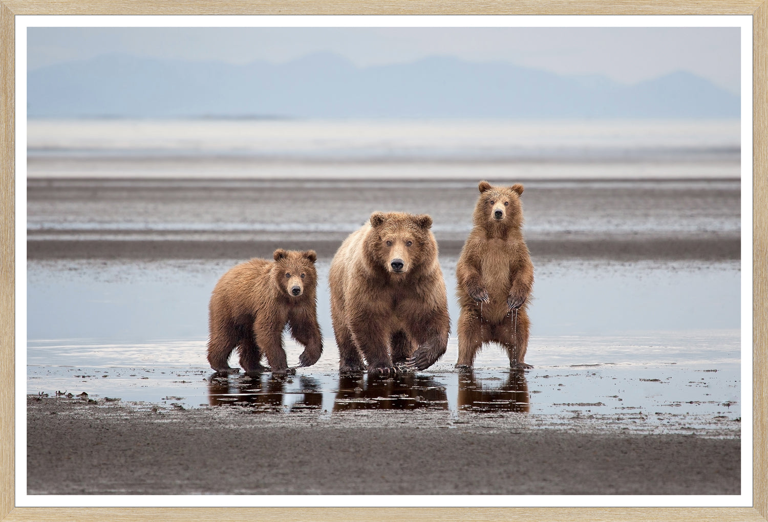 Natural Bear Family Trio Bundle