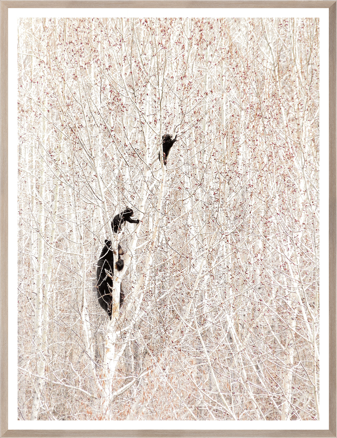 Bears in a Birch Forest — nature and landscape fine art print in neutral tones at Laurie Yapp Home