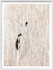 16 × 21 po – Cadre blanc