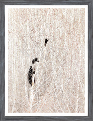 43 × 56 cm – Cadre gris
