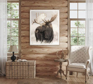 angle view of Grand Teton Moose luxury Artwork