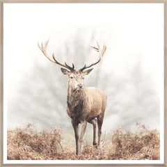 41.5 × 41.5 po – Cadre naturel