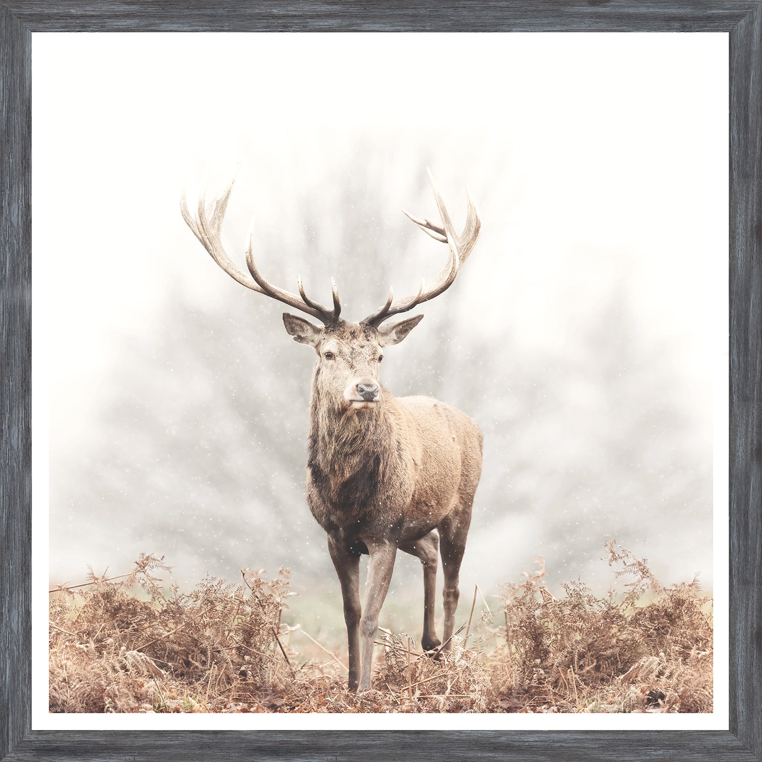Red Deer Stag — nature and landscape fine art print shown from another angle