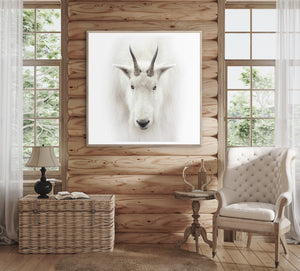 angle view of Mountain Goat luxury Artwork