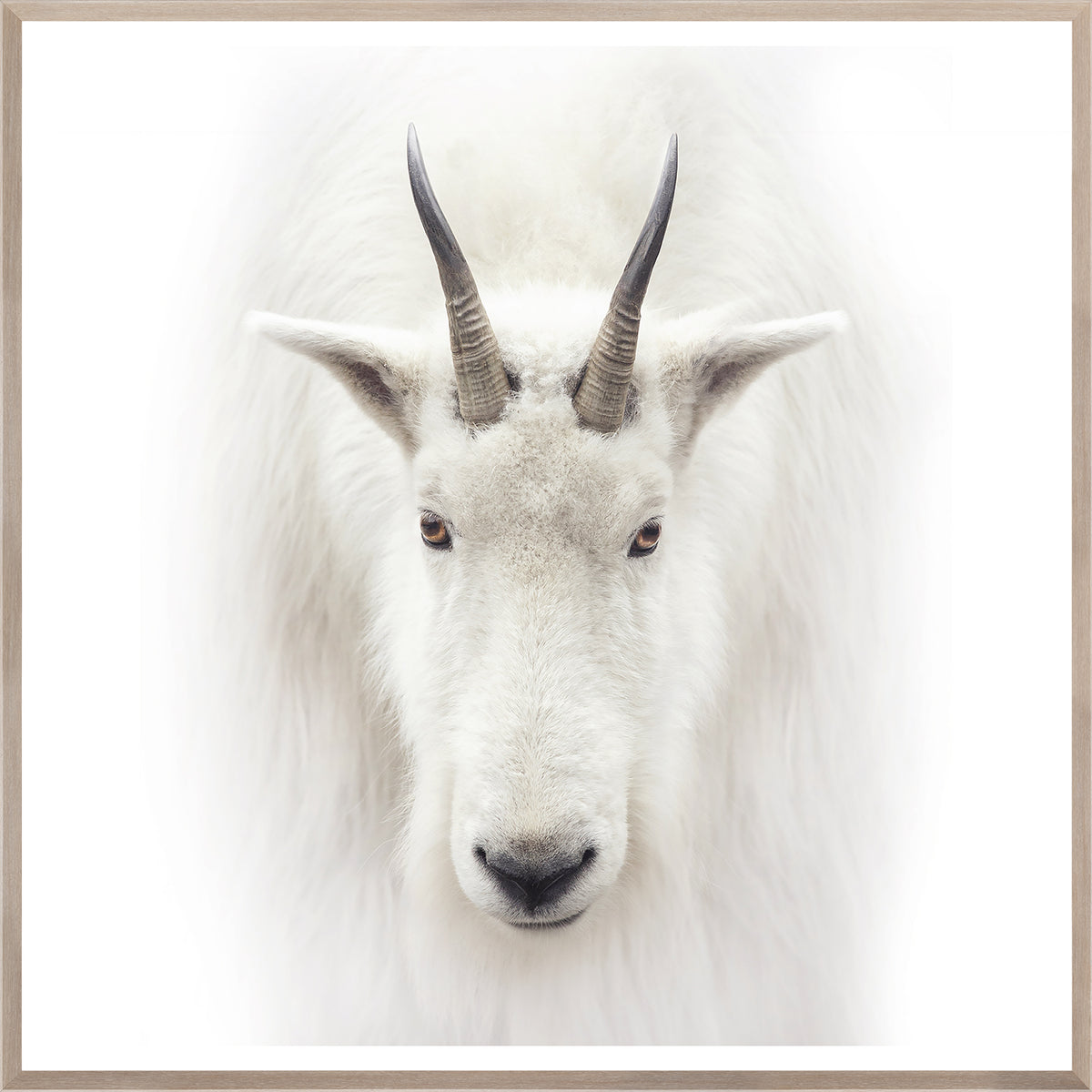 Mountain Goat — nature and landscape fine art print in neutral tones at Laurie Yapp Home