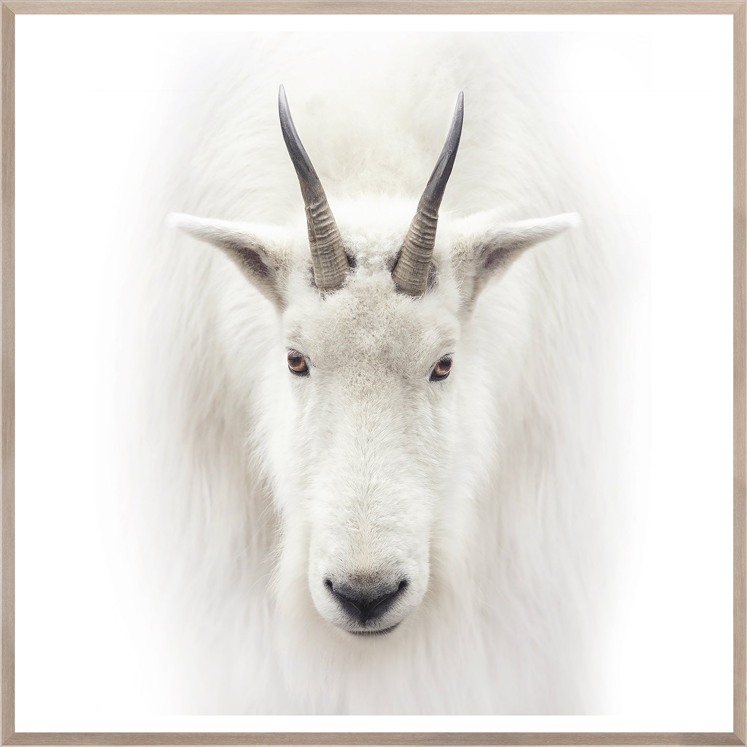 Mountain Goat — nature and landscape fine art print in neutral tones at Laurie Yapp Home