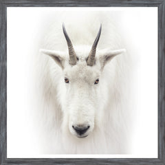 22 × 22 po – Cadre Gris