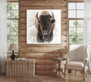 angle view of Bison in the Tetons luxury Artwork