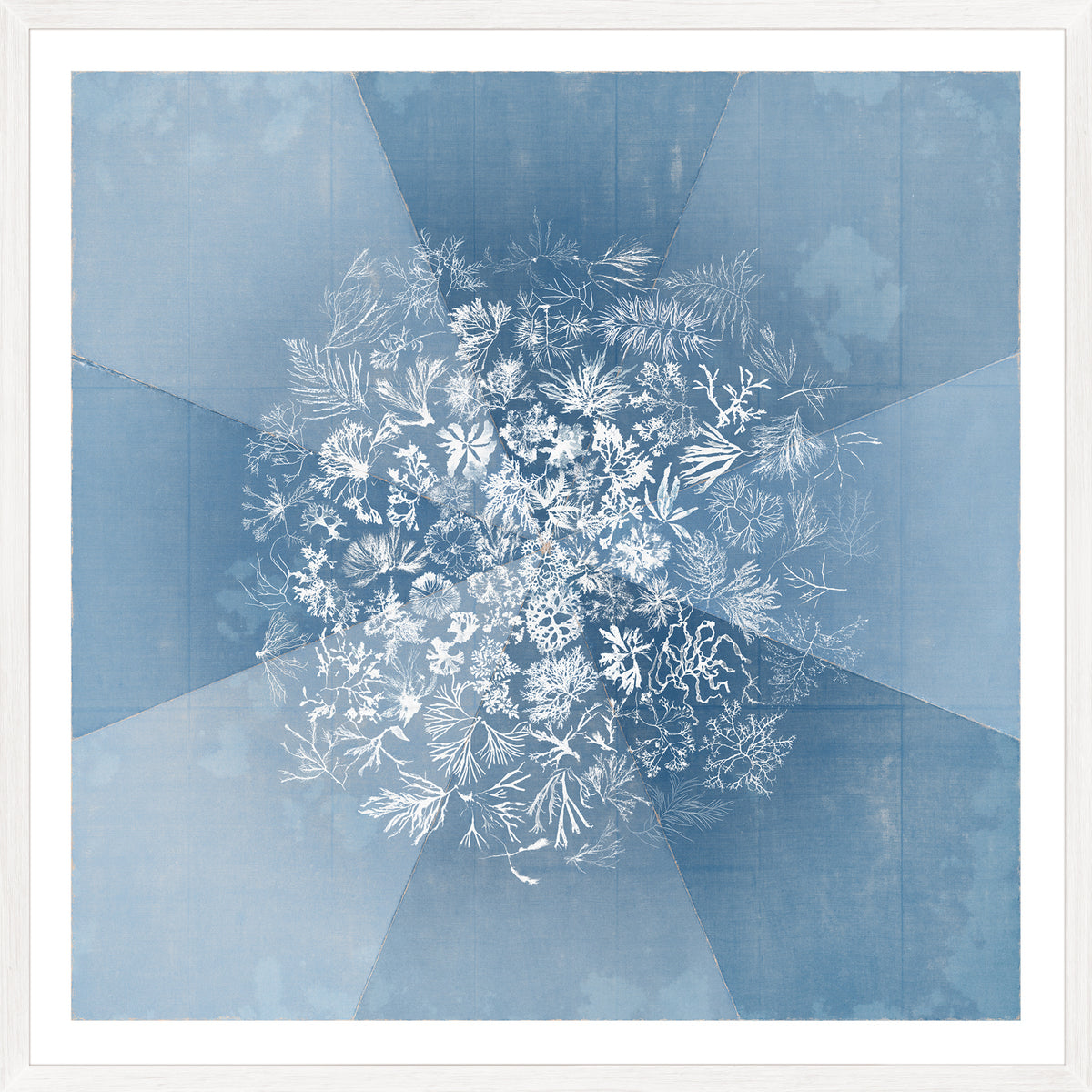 Sea Tangle wall art featuring a blue background with white botanical illustrations.