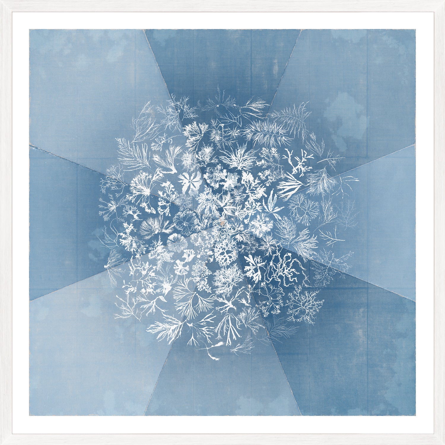 Sea Tangle wall art featuring a blue background with white botanical illustrations.