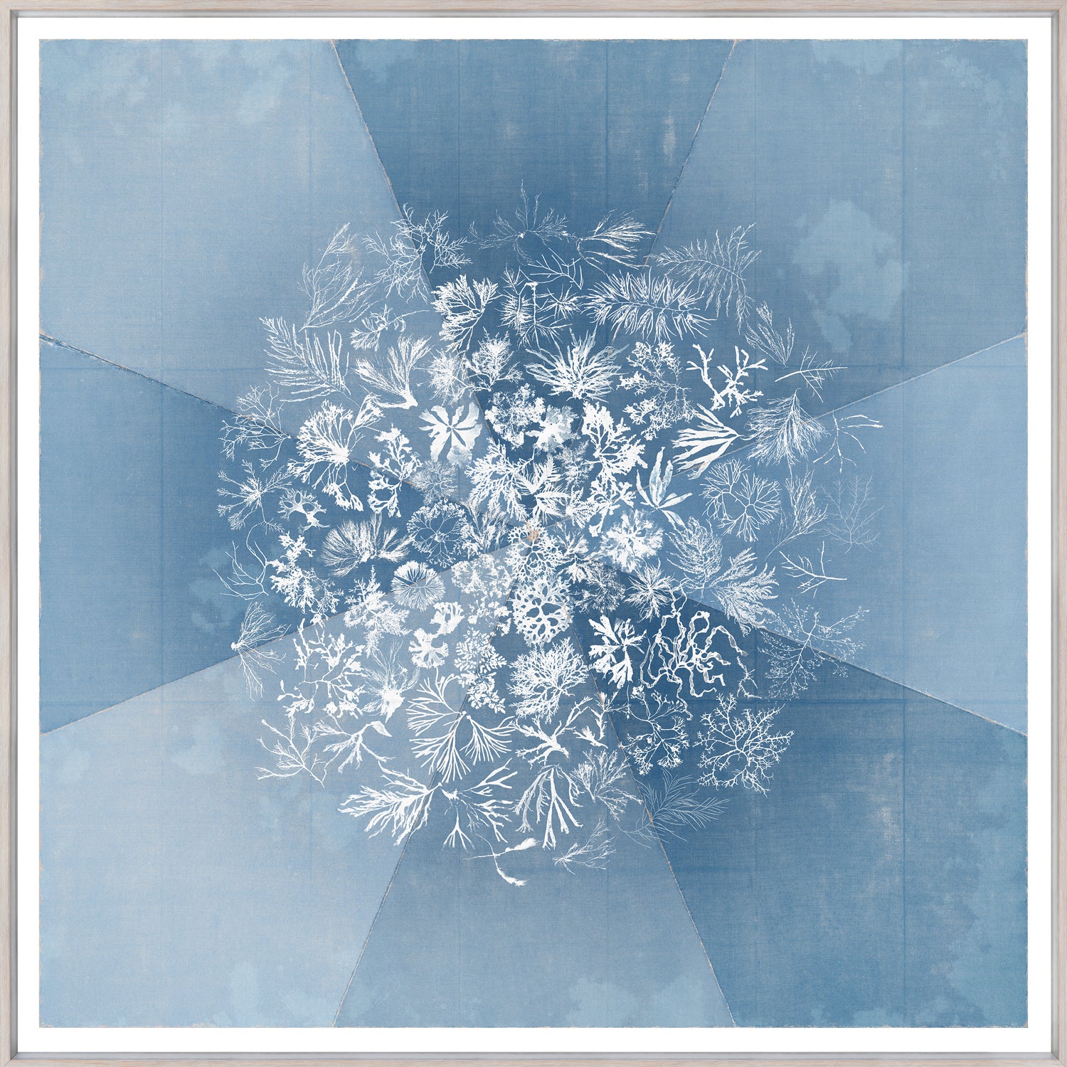 Sea Tangle — nature and landscape fine art print in cool tones at Laurie Yapp Home