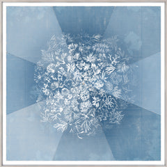 41 × 41 pouces